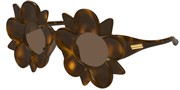 Cumpără sau vezi imaginea modelului Bottega Veneta BV1399S-008.