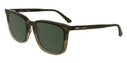 Cumpără sau vezi imaginea modelului Calvin Klein CK25507S-317.