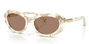 Dolce e Gabbana 0DG4519-346173