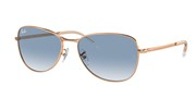 Cumpără sau vezi imaginea modelului Ray Ban 0RB3733-92023F.