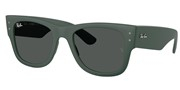 Cumpără sau vezi imaginea modelului Ray Ban 0RB4840S-665787.