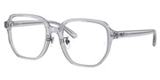 Cumpără sau vezi imaginea modelului Ray Ban 0RX5424D-8415.