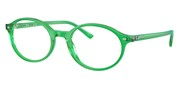 Cumpără sau vezi imaginea modelului Ray Ban 0RX5429-8441.