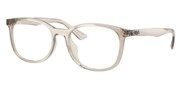 Cumpără sau vezi imaginea modelului Ray Ban 0RX7093D-8271.