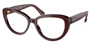 Cumpără sau vezi imaginea modelului Swarovski Eyewear 0SK2014-1019.