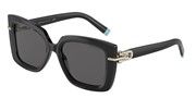 Cumpără sau vezi imaginea modelului Tiffany 0TF4199-8001S4.