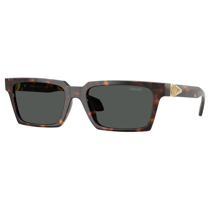 VERSACE 0VE4490U-10887